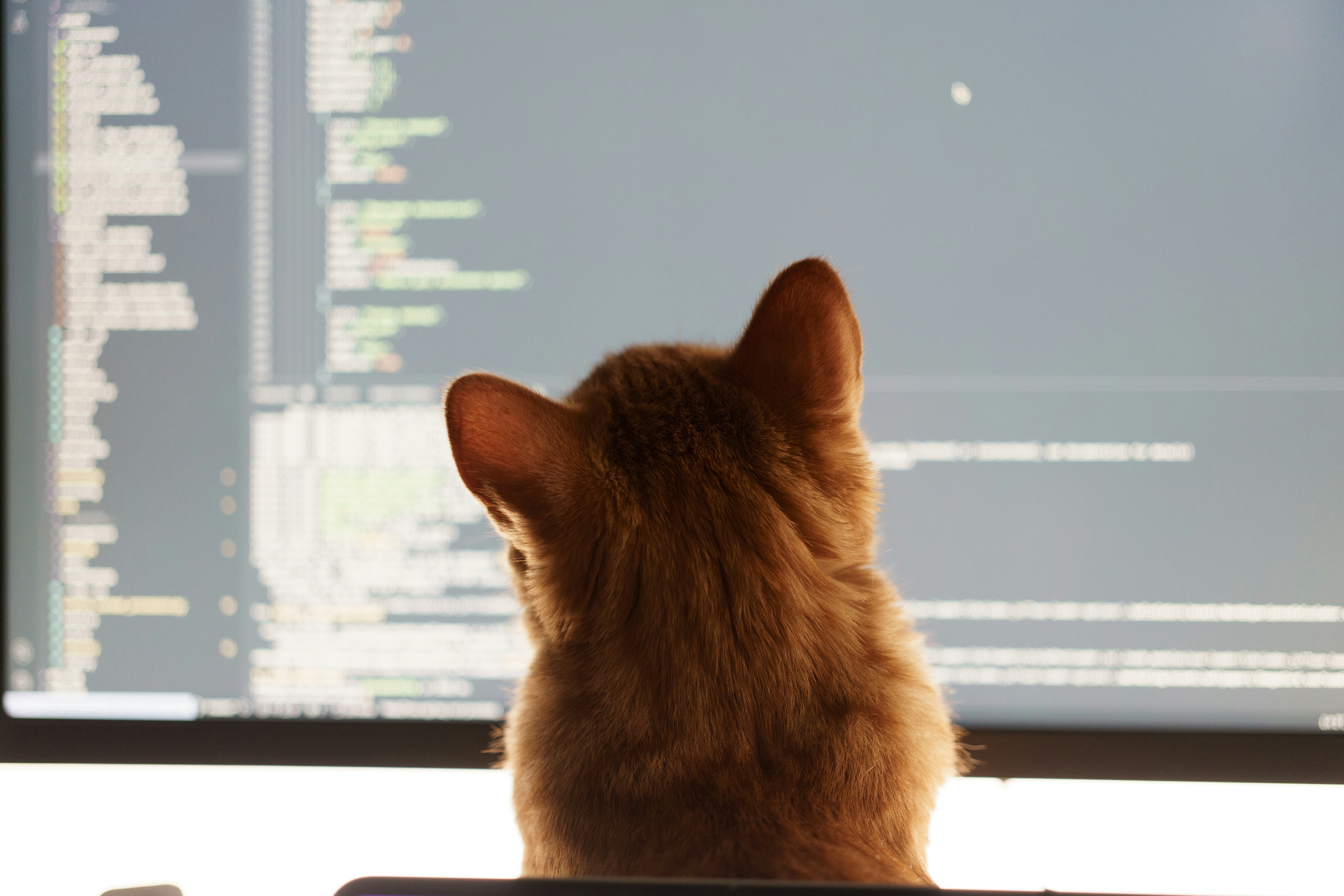 Programming Languages